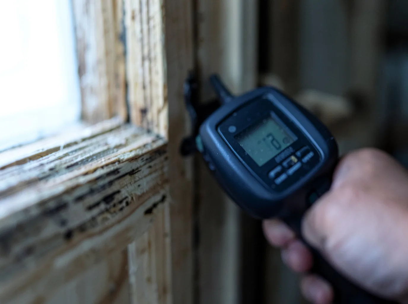Moisture Inspection And Documentation in Pawleys Island, SC